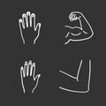 Human body parts chalk icons set Royalty Free Stock Photo