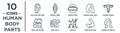 human.body.parts linear icon set. includes thin line ear lobe side view, mouth open, human uterus, skin cells, muscular arm,