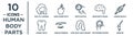 human.body.parts linear icon set. includes thin line face of a woman, fertilization, human muscle, human eyebrow, two spermatozoon