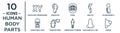 human.body.parts linear icon set. includes thin line masculine chromosomes, tonsil, column inside a male human body in side view,