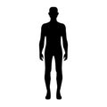 Human body shape vector art. Royalty Free Stock Photo