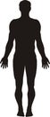 Human body silhouette Royalty Free Stock Photo