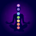 human body silhouette with chakras icons Royalty Free Stock Photo