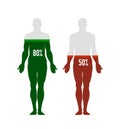 Human body silhouette with energy, immunity or water balance icon, percentage level, chart, creative infographic design