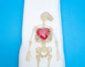 Human body skeleton with big red heart