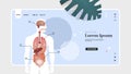 human body structure infographic poster with internal organs anatomy system portrait horizontal copy space