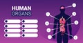 Human body structure infographic poster with male internal organs icons anatomy system board portrait horizontal Royalty Free Stock Photo