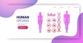 human body structure medical infographic poster with female male internal organs anatomy system board full length Royalty Free Stock Photo