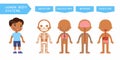 Human body systems educational kids banner flat vector template. Royalty Free Stock Photo