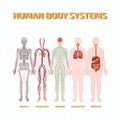 Human Body Systems Royalty Free Stock Photo