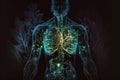 Human body with transparency, featuring bioluminescent lines that highlight the organs, particularly the lungs and upper torso. Ai