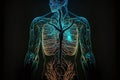 Human body with transparency, featuring bioluminescent lines that highlight the organs, particularly the lungs and upper torso. Ai