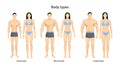 Human body types. Royalty Free Stock Photo