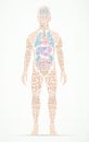 Human body wordcloud