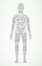 Human body wordcloud