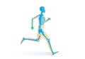 Human Bone Anatomy while run