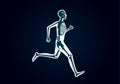Human Bone Anatomy while run Royalty Free Stock Photo
