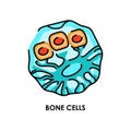 Human bone cell color line icon. Microorganisms microbes, bacteria.