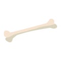 human bone isolated icon Royalty Free Stock Photo