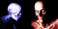 Human Bones 79 Royalty Free Stock Photo