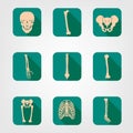 Human bones icons