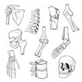 Human bones and joints sketch Royalty Free Stock Photo