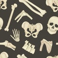 Human bones seamless pattern. Orthopedics, traumatology and rheumatology medical background, wallpaper, cover, interior Royalty Free Stock Photo