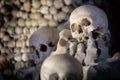 Human bones and skulls as a background. Death or graveyard funeral concept Royalty Free Stock Photo