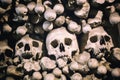 Human bones and skulls as a background. Death or graveyard funeral concept Royalty Free Stock Photo