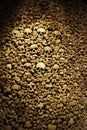 Human bones and skulls as pirate texture Royalty Free Stock Photo