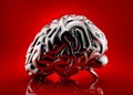 Human brain