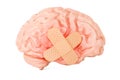 Human brain with adhesive plaster, 3D rendering