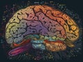Human Brain AI Colorful Doodle Sketch Illustration, learning new Knowledge, Creativity, Inspiration, Mindset, Skillshare and Visio
