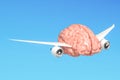 Human brain with airplane wings, free mind concept. 3D rendering