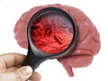 Human Brain Analyzed with magnifying blood cells inside isolated