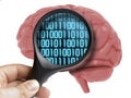 Human Brain Analyzed with magnifying digital binary code programming inside isolated