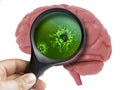 Human Brain Analyzed with magnifying virus bacterial microbe inside isolated Royalty Free Stock Photo