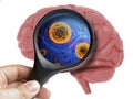 Human Brain Analyzed with magnifying virus bacterial microbe inside isolated Royalty Free Stock Photo