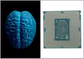 Human brain anatomical model with CPU processor microchip