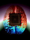 Human brain anatomical model with CPU processor microchip Royalty Free Stock Photo