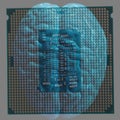 Human brain anatomical model with CPU processor microchip. Royalty Free Stock Photo