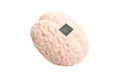 Human brain anatomical model with CPU processor microchip Royalty Free Stock Photo