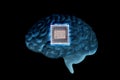 Human brain anatomical model with CPU processor microchip Royalty Free Stock Photo