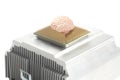 Human brain anatomical model on CPU processor microchip Royalty Free Stock Photo