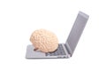 Human brain anatomical model on laptop