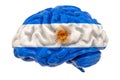 Human brain with Argentinean flag. Scientific research and education in Argentina concept, 3D rendering Royalty Free Stock Photo