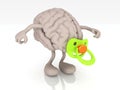 Human brain with arms legs and pacifier