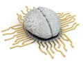 Human brain as computer chip. Concept of CPU. Royalty Free Stock Photo
