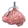 Human brain as hand grenade. 3D rendering Royalty Free Stock Photo