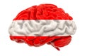 Human brain with Austrian flag. Scientific research and education in Austria concept, 3D rendering